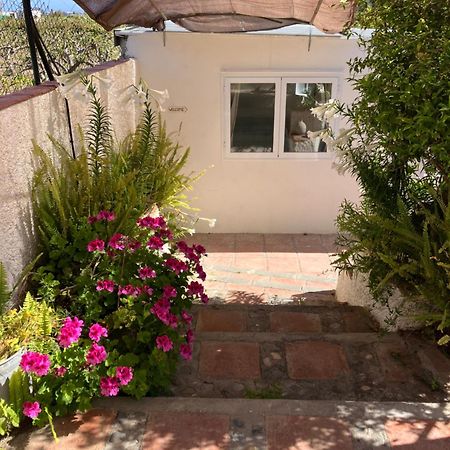 La Penita - Sunny Guesthouse With Private Pool And Garden 萨各夫雷纳 外观 照片