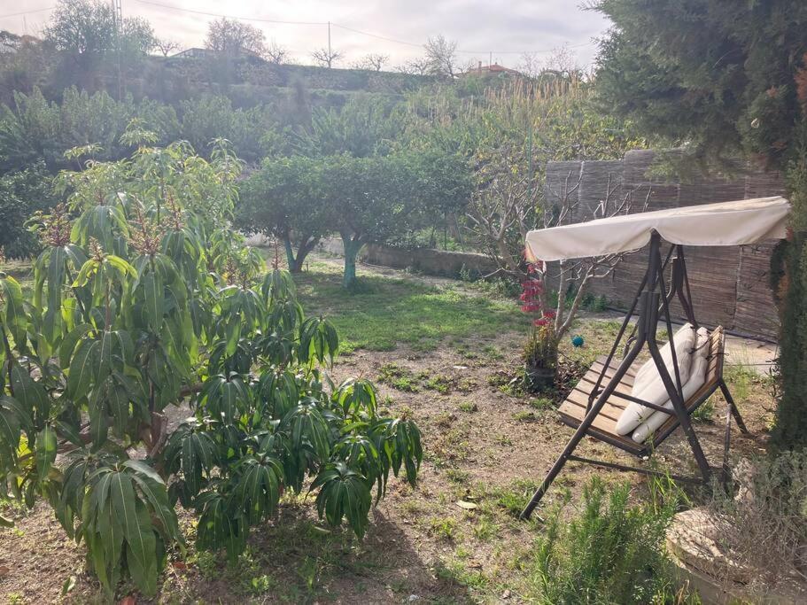 La Penita - Sunny Guesthouse With Private Pool And Garden 萨各夫雷纳 外观 照片
